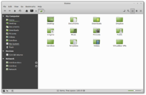 Cinnamon file manager